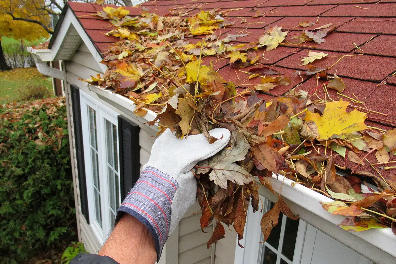 Gutter Cleaning Service | Memphis Gutter Cleaning