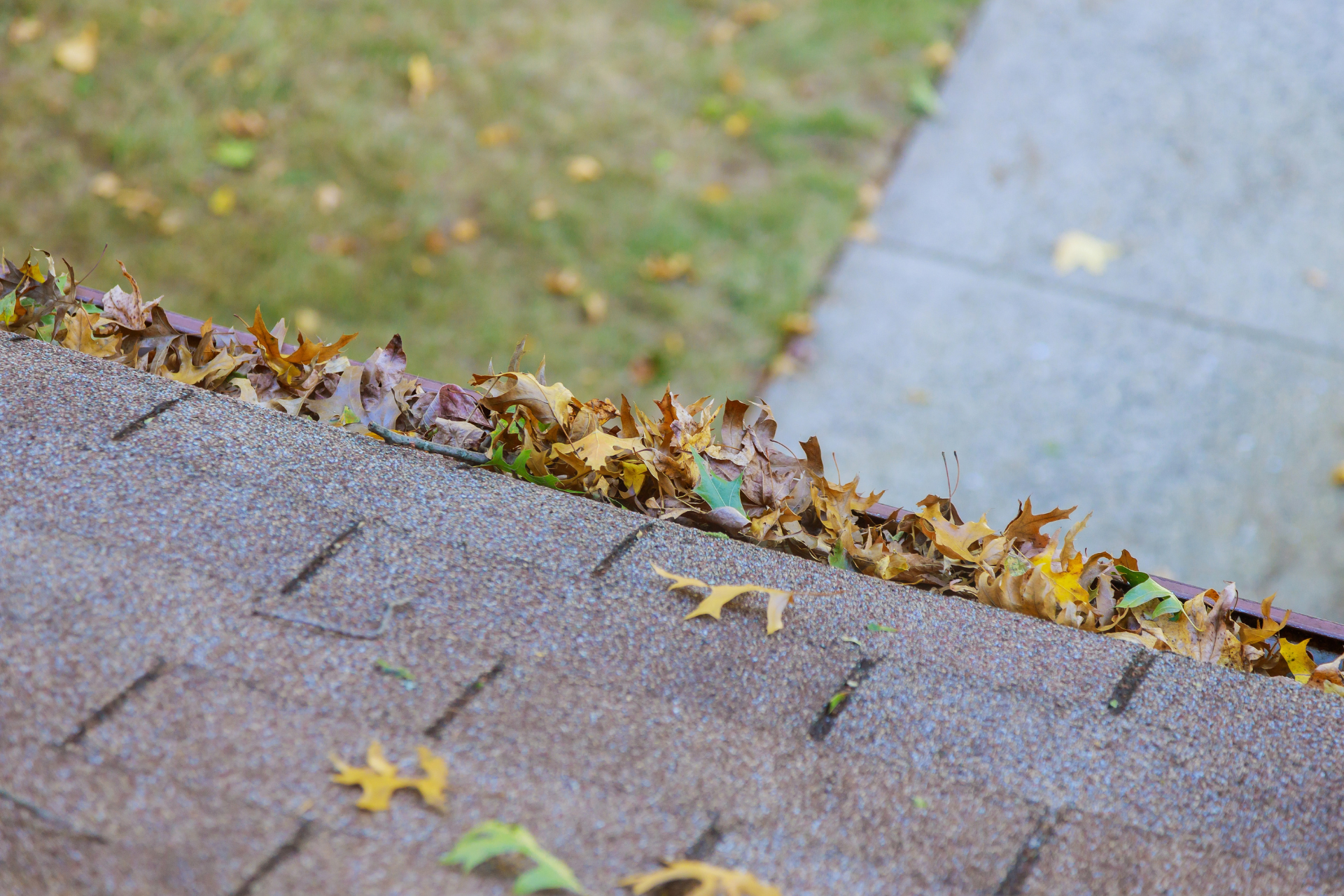 Gutter Leaf Removal | Memphis Gutter Cleaning
