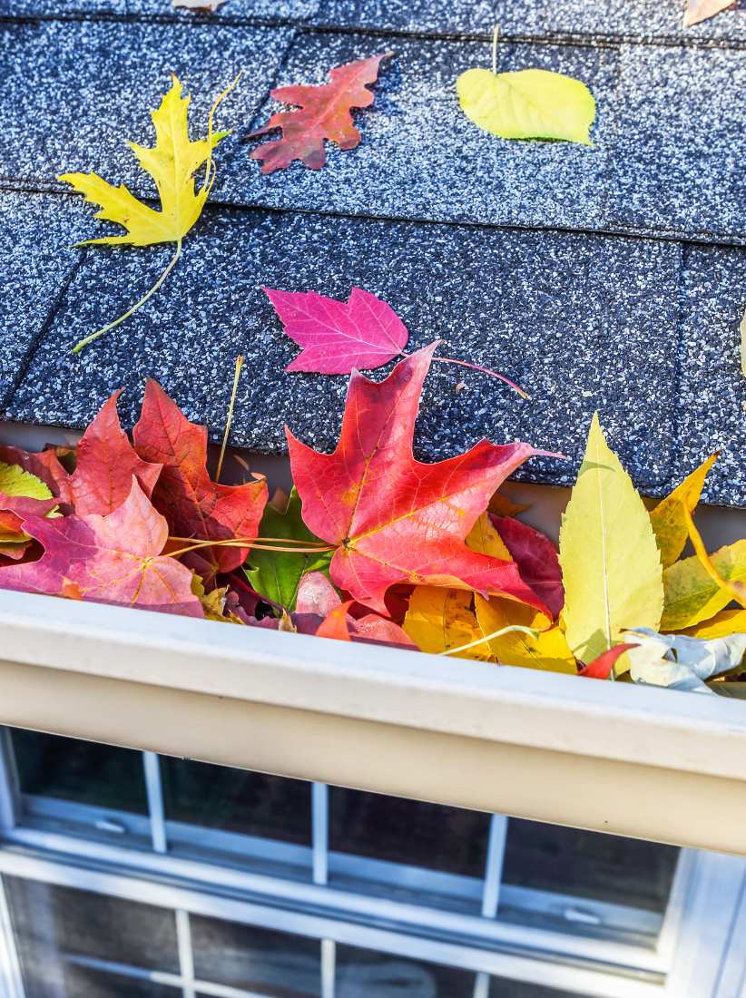 Gutter Leaf Cleaning | Memphis Gutter Cleaning